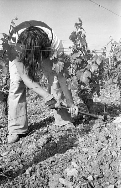gilles-170.jpg